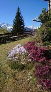 Casa delle Rose - Teglio - 4