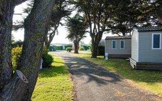 Camping Les Perouses - Saint-Clément-des-Baleines - 4