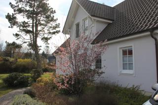Appartement Louise - Wustrow - 1