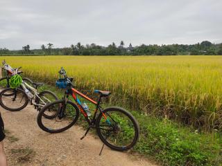 Hello countryside - Ban Khang Hong Tai - 1