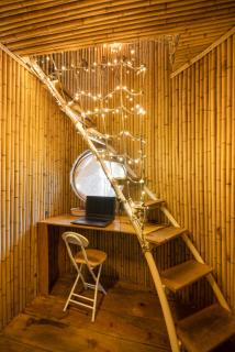 Cocohut Hoi An Homestay - Hoi An - 3