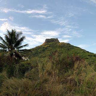 Bellevue Tamarin - Tamarin - 1