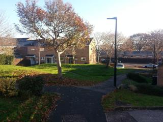 Immaculate 3-Bed House in Bristol with fast wifi - Bristol - 7