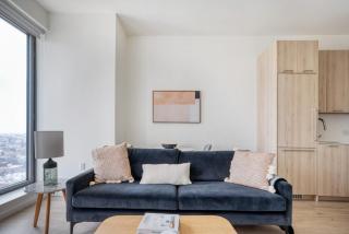 Clinton Hill 1br w wd gym pool nr BAM NYC-969 - 9