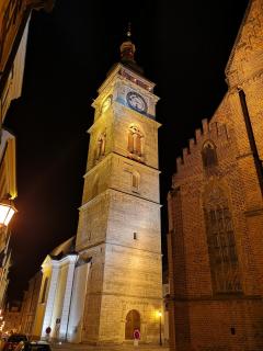 Hotel Vacek Pod Věží - Hradec Králové - 6