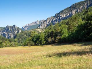 Le Moulin du Paroy - Serres - 5
