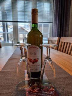 Gaustatoppen Apartment - 1