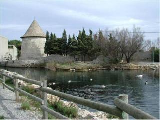 Grand appartement 3 chambres avec garage - 4