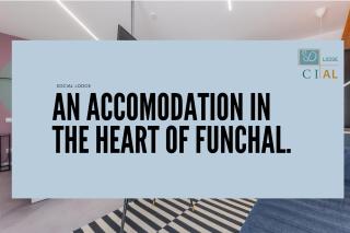Social Lodge - Happiness - Funchal - 1