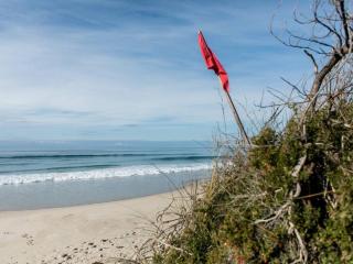 Moonbird Beach Shack ~ Ocean Escape - Beaumaris Tasmania - 5