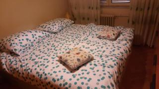 Apartments with WiFi Rijeka - 20929 - 2