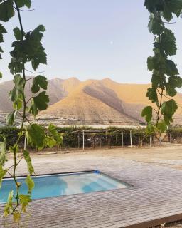 Glamping Viñas de Elqui - Vicuña - 3