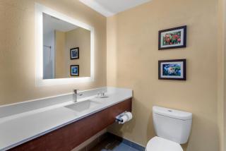 Comfort Suites Locust Grove Atlanta South - Locust Grove - 9