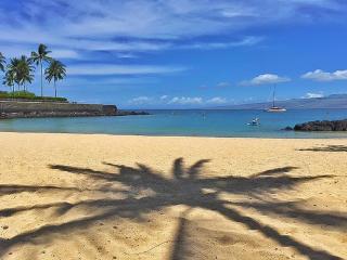 Mauna Lani KaMilo #407 - 2