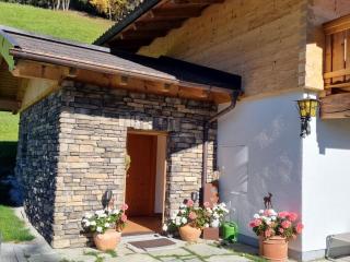 dog-friendly holiday home in Flachau - 3