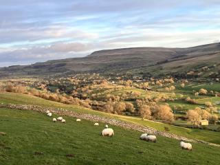 The Granary, Old Corn Mill, Yorkshire Dales - West Burton - 4