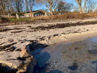 Holiday House In 1St Row To Nice Beach - Haderslev - 1
