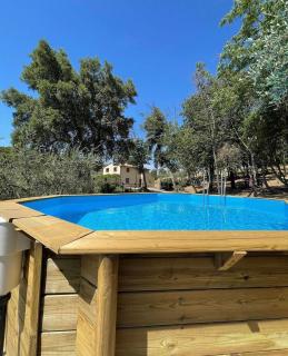 Agriturismo Il Sorbo Appartamento Lavanda - 1