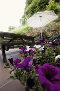 Apartamentos el Caserón - 1