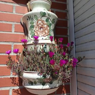 Bajo con jardín privado - 2