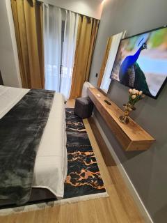 Grey Luxury Apartment - 9