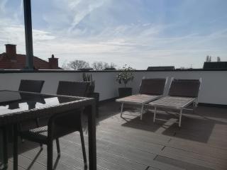 PENTHOUSE Griemann 2 für max 4 Personen mit eigener großer Dachterrasse zum Relaxen! - Illmitz - 9