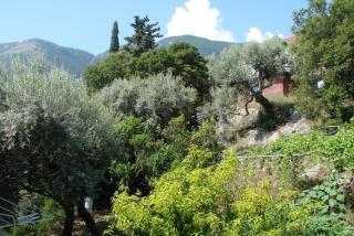 Villa Galanos - Nikiana - 6