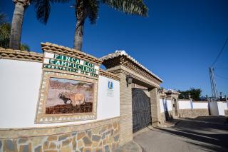 Tu Villa Rural Cortijo Los Campesinos 4 Dormitorios Piscina privada - Alhaurín el Grande - 9