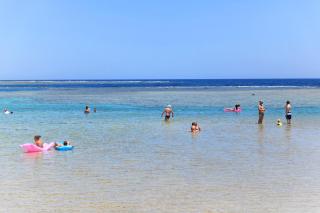 Pensee Royal Garden Beach Resort - Quseir - 4