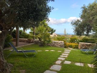 Cave Garden villa - Favignana - 4