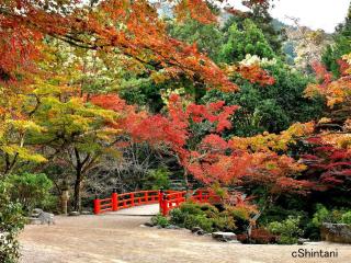 Grand Prince Hotel Hiroshima - 8