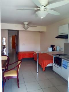 Appartement cosy à Sainte-Luce, 40 m² avec jardin privatifB - Sainte-Luce - 4