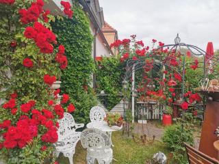 cafesahne u Pension - Dranske - 0