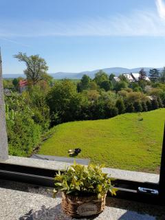 Wakacyjne Historie - nowoczesne i komfortowe apartamenty ze SPA u podnóża Śnieżnika - 1