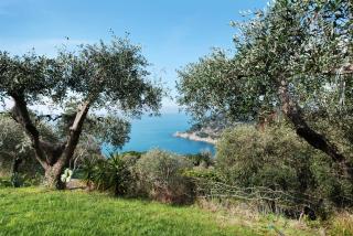 Il Paradiso Sul Mare - Bonassola - 8