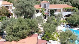 Olive trees - Budva - 4