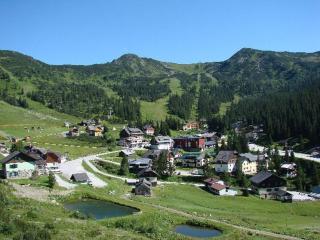 Alpengasthof Grimmingblick - Planneralm - 4