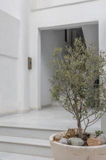 Elizabeth's Dream Place Ι - Naxos Chora - 6