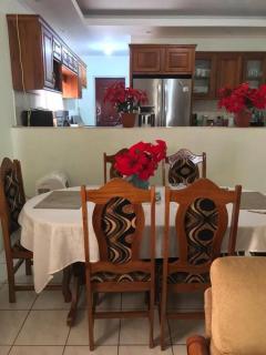 Comfortable home in San Fernando - San Fernando - 3