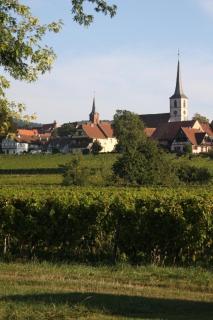 Le Grenier Des Arômes Au Domaine Wittmann - 5