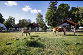 Hof Lillge - Schorfheide - 9