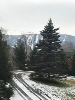 Mountain view apartment, 5mins to Ski Area! - 8