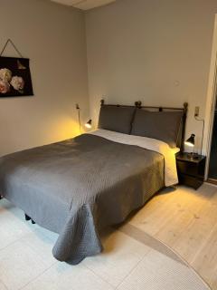 Apothekergaarden Stege stuen mod gårdhaven - Stege - 0