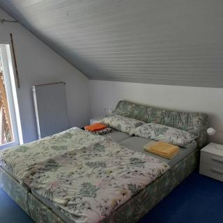 Wohnung mit Weitblick - Neustadt an der Weinstraße - 2