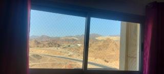 Eilat Octopus Apartment - אילת אוקטופוס -שני חדרים וסלון, בריכה בקיץ - Eilat - 3