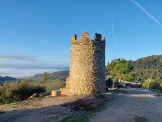 La Choza De Mamuyo - Montefrío - 6