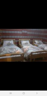 Stargazing Camp & Tours - 8