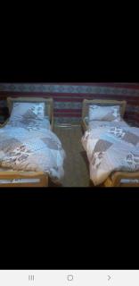 Stargazing Camp & Tours - Wadi Rum - 7