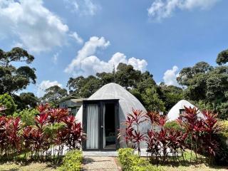 PLAY at Lot 31 Eco Orchard Melaka - - 6