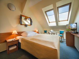EA Hotel Tosca - Prague - 7